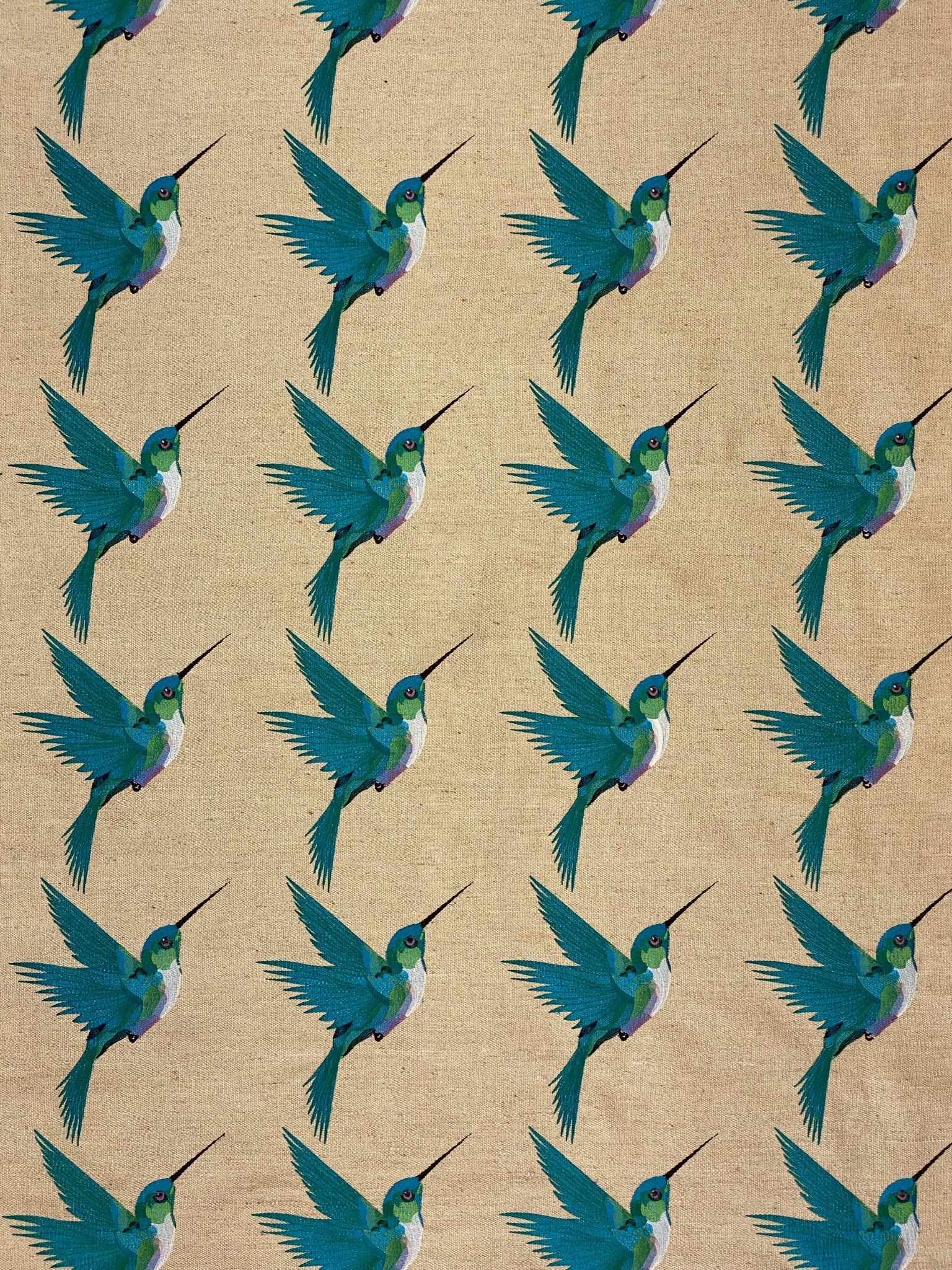 Honey Bird 