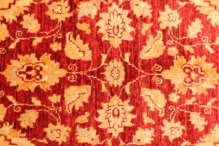 Maara Ahmar runner
