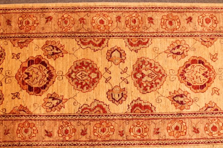 Wardabhad runner