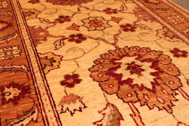 Wardabhad runner